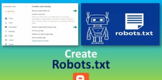 create custom robot stxt file